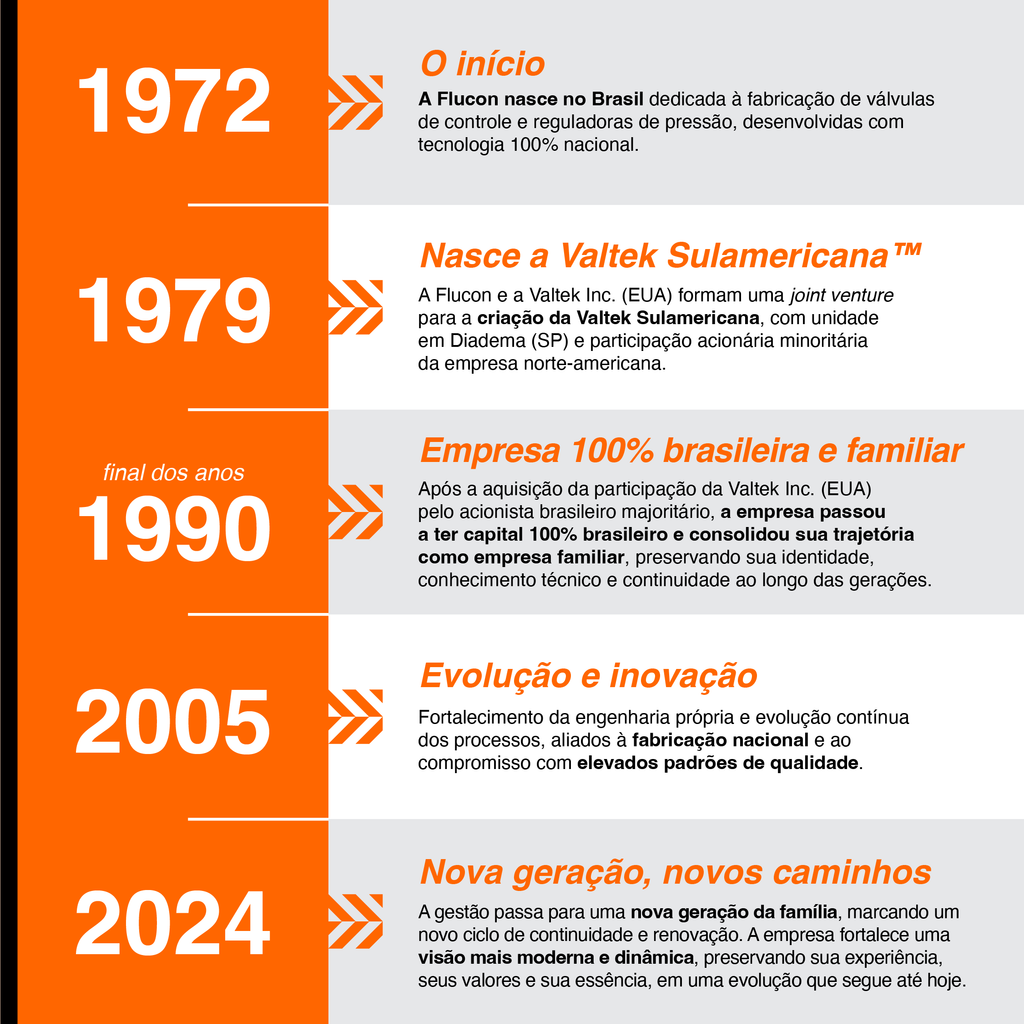 Principais marcos da história da Valtek Solution, desde sua origem em 1972.